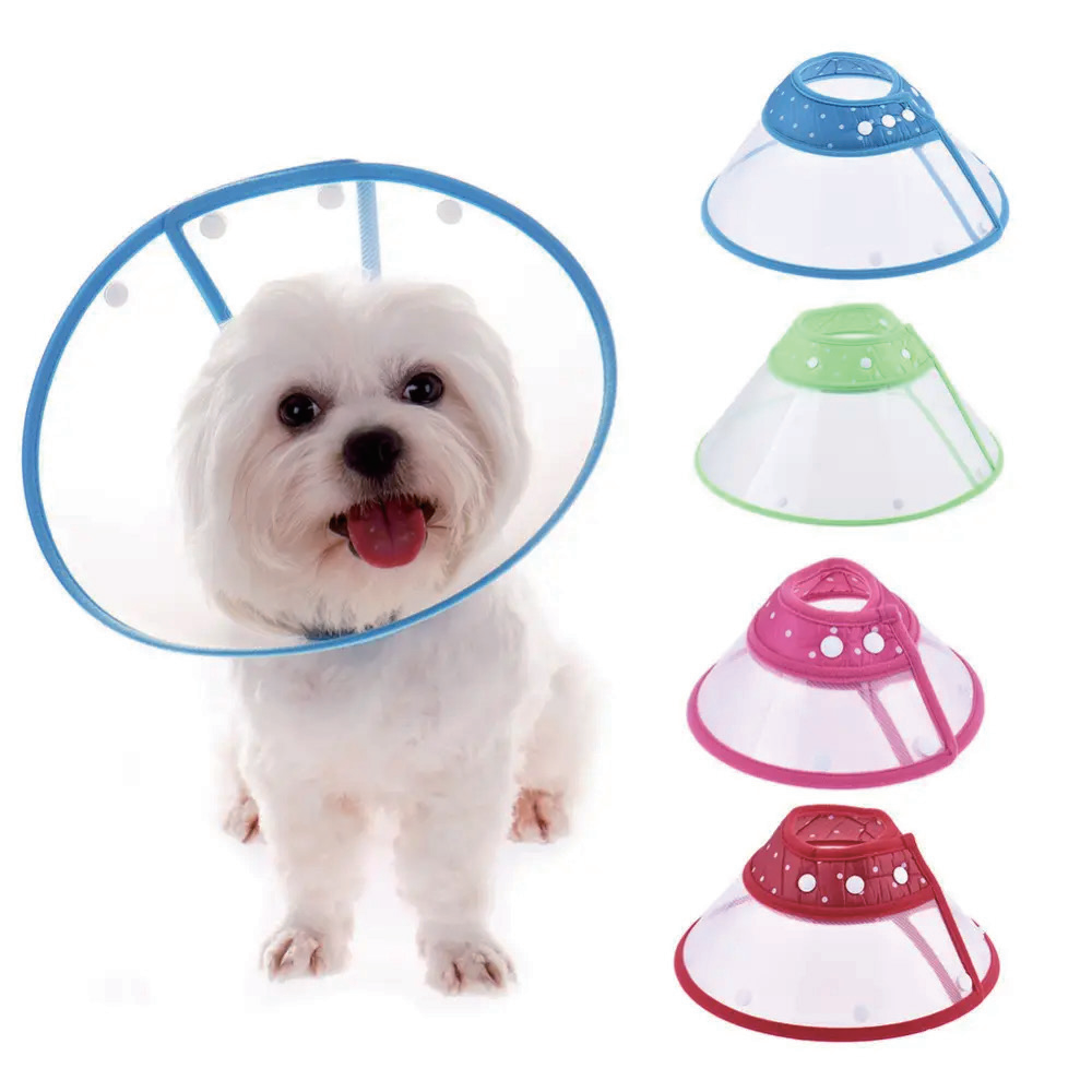 KELLYUNION Isırma Karşıtı Tasma Için Nihai Rehber: Küçük Hayvanlar İçin Koruma ve Konforluk