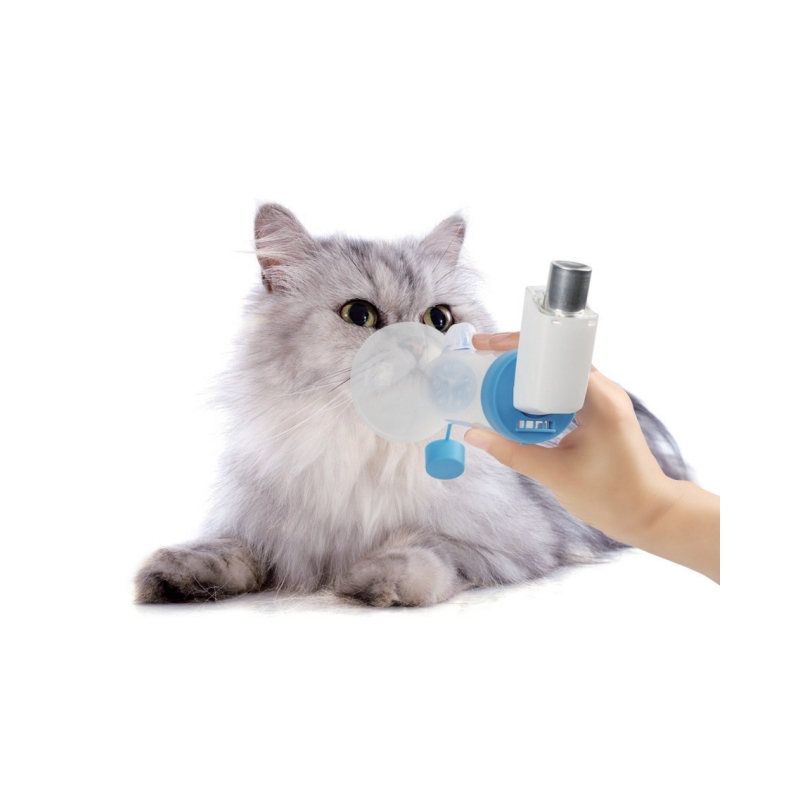 Aerochamber: Yenilikçi Spacer Teknolojisiyle Solunum Terapisini Geliştirmek